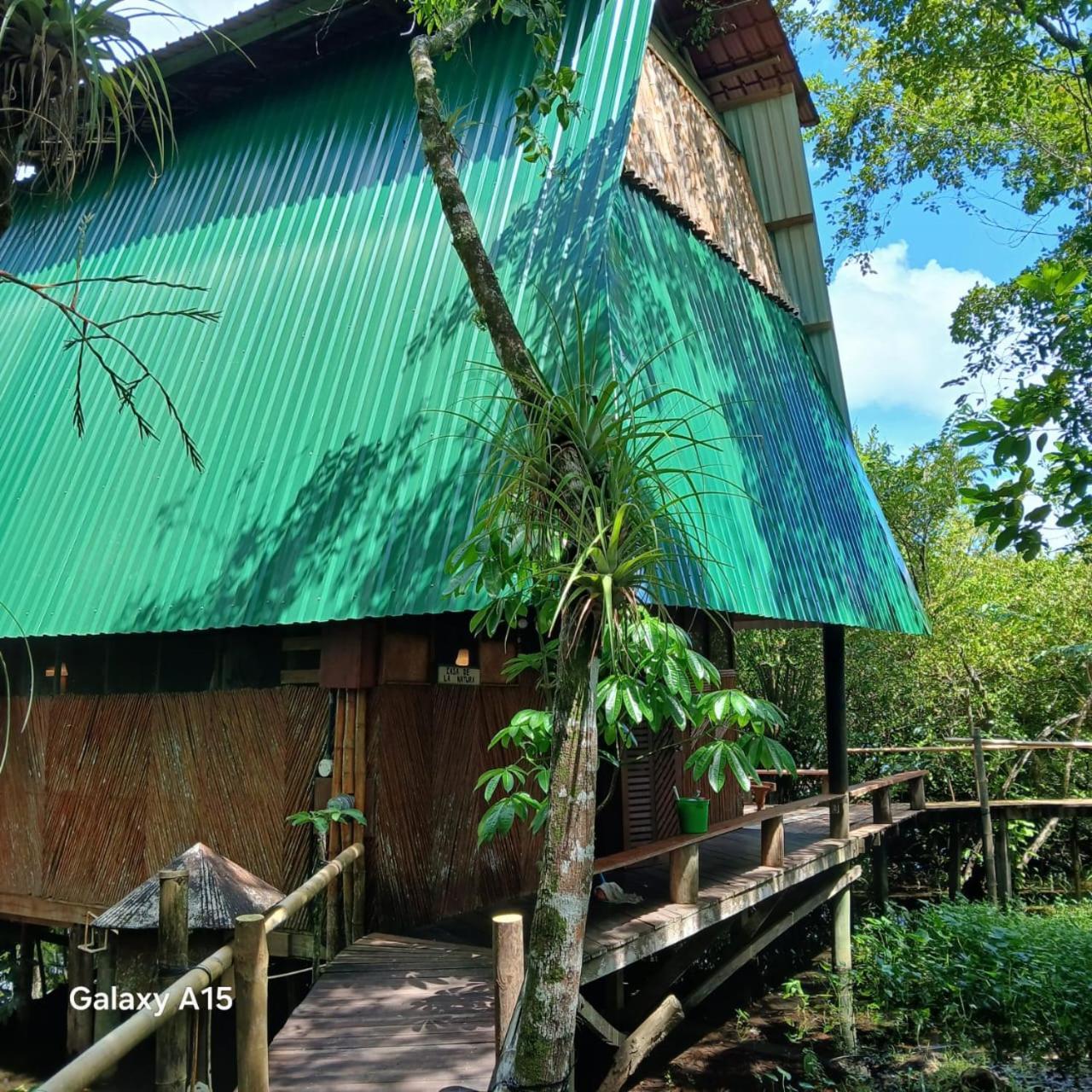 Tortugal Boutique River Lodge Rio Dulce Exterior photo
