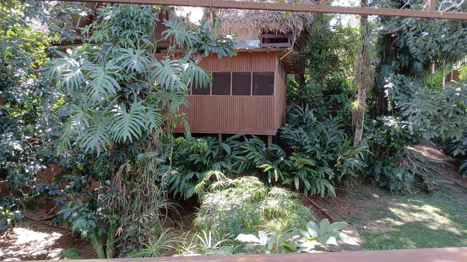 Tortugal Boutique River Lodge Rio Dulce Exterior photo